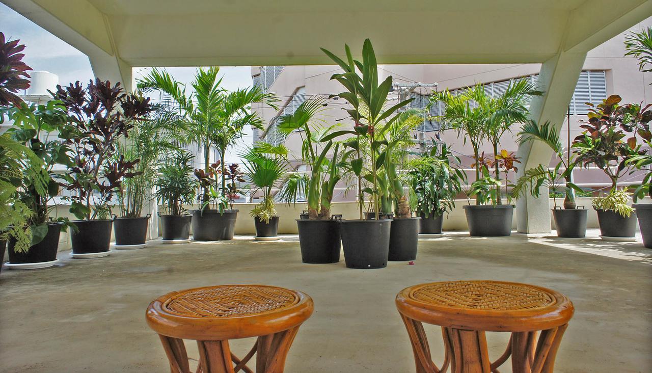 Tomonoya Ishigaki Villa Ishigaki  Ngoại thất bức ảnh